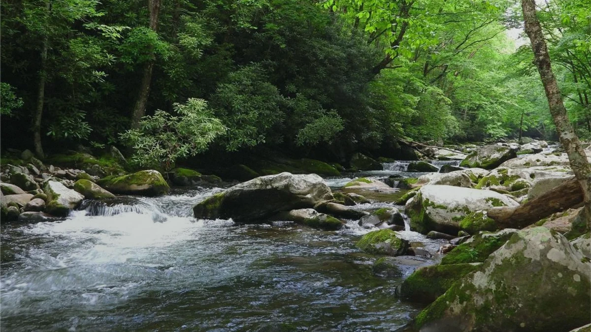 How to Sell Inherited Land in Tennessee parcel-record checklist