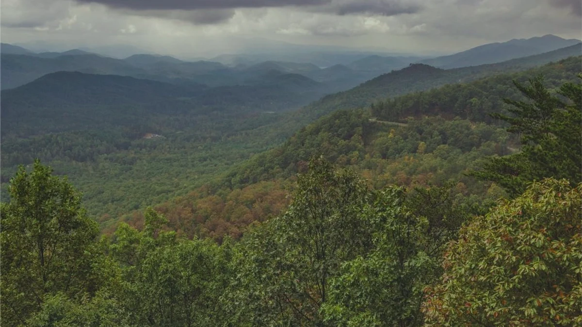 How to Sell Land Online in Tennessee rural Tennessee parcel review