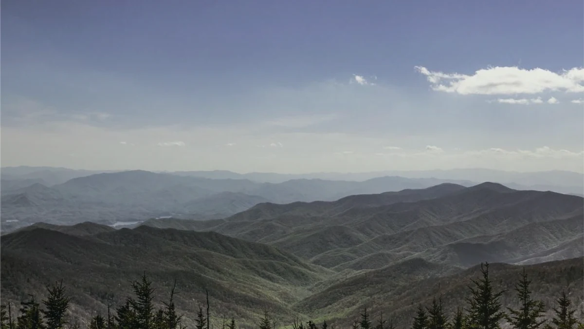 Tax on Selling Land in Tennessee rural Tennessee parcel review